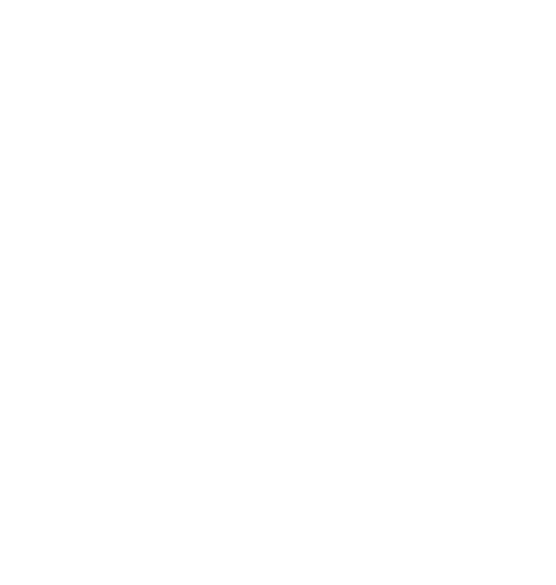 BaliHolic ロゴ