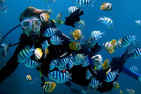 商品ギャラリー