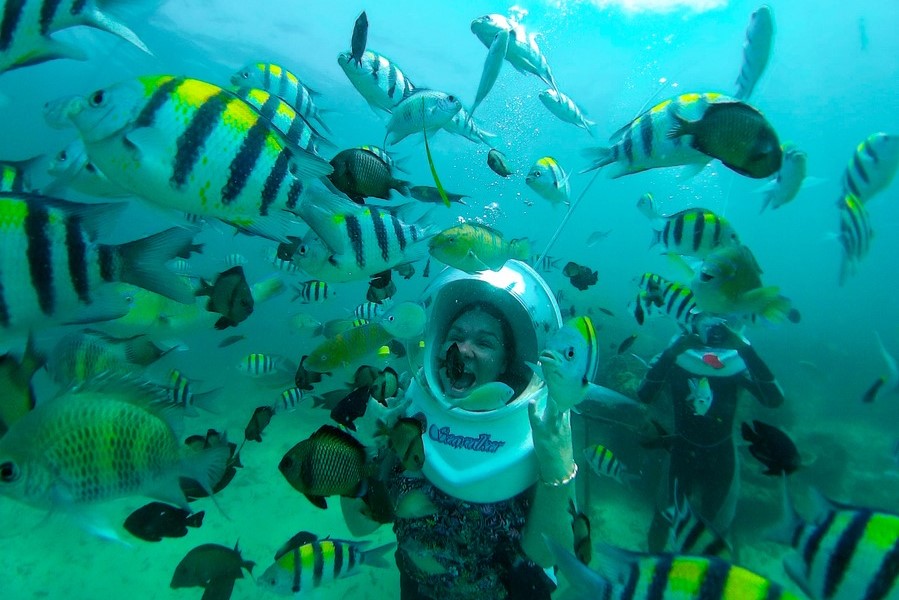 商品ギャラリー