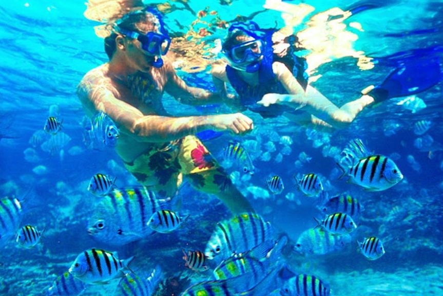 商品ギャラリー